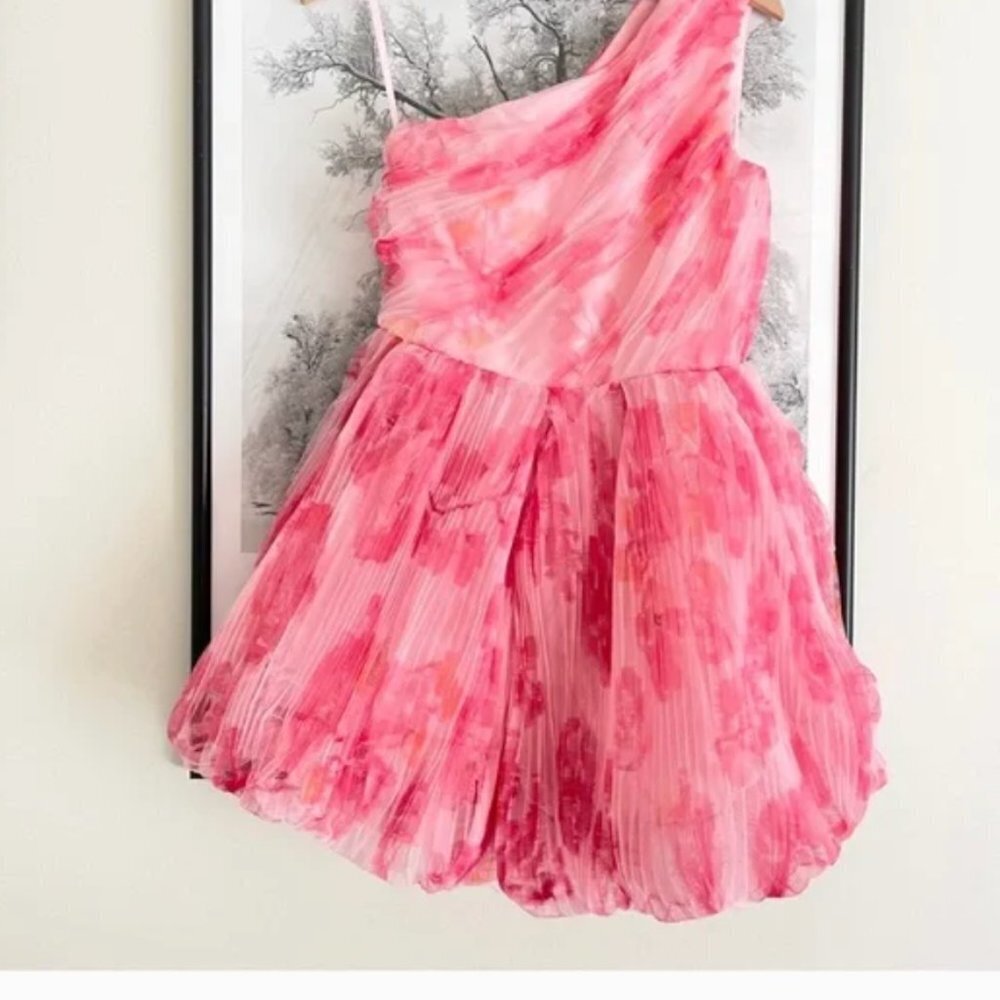 NWT Anthropologie Hutch One Shoulder Floral Tulle Pink Puffer Watercolor Romper - Picture 12 of 13